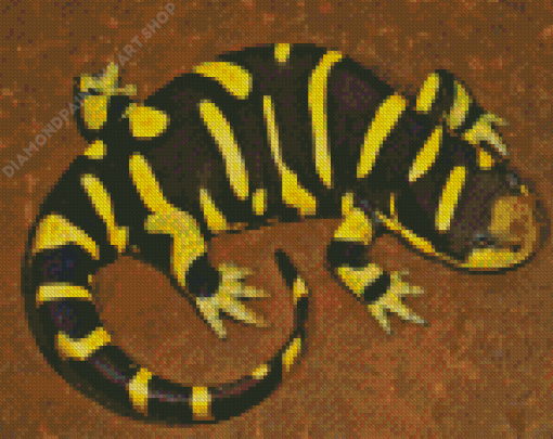 Tiger Salamander Diamond Painting Art