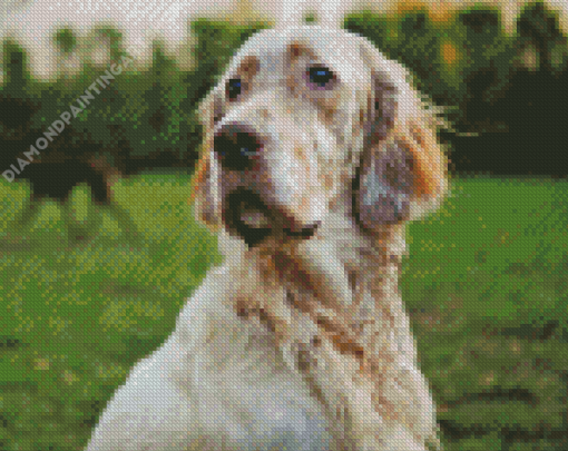 White And Beige English Setter Diamond Painting Art