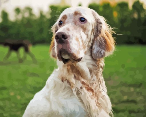 White And Beige English Setter Diamond Painting Art