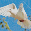 White Flying Pigeon Diamond Painting Art