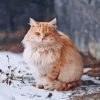 Winter Cat Pet Diamond Painting Art