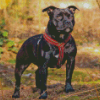 Black Staffordshire Bull Terrier Diamond Painting Art