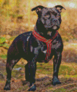 Black Staffordshire Bull Terrier Diamond Painting Art