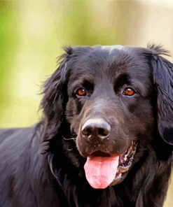 Black Golden Retriever Dog Diamond Painting Art
