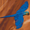 Cool The Lear’s Macaw Diamond Painting Art