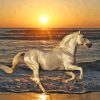 White Horse On Beach Diamond Painting Art