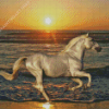 White Horse On Beach Diamond Painting Art