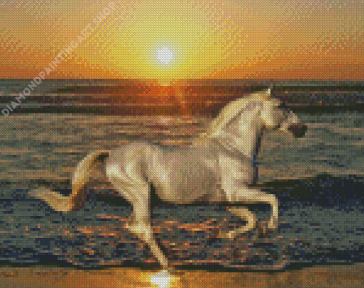 White Horse On Beach Diamond Painting Art