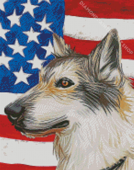 White Wolf And American Flag Art Diamond Painting Art