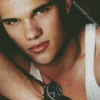 Taylor Lautner Diamond Painting Art