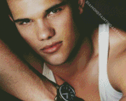 Taylor Lautner Diamond Painting Art