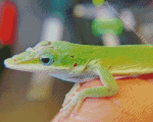 Anole Reptile Diamond Painting Art