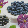 Blackcurrant And Blueberry Diamond Painting Art