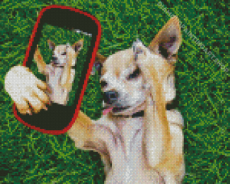 Chihuahua Selfie Diamond Painting Art