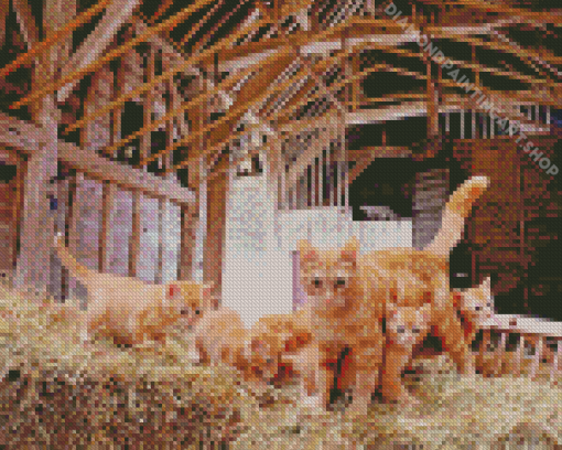 Kittens In A Barn Diamond Painting Art