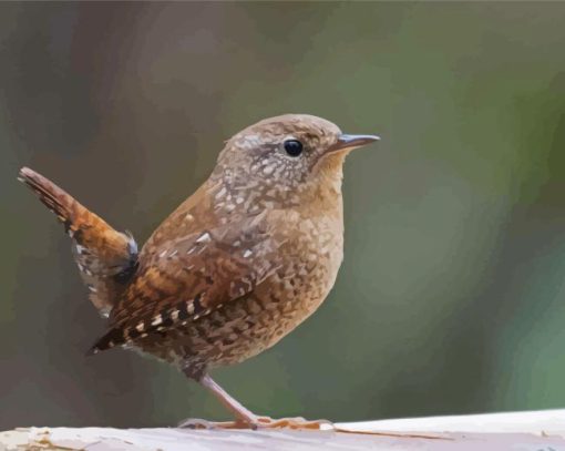 English Wren Diamond Painting Art