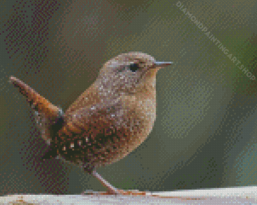 English Wren Diamond Painting Art