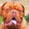 French Mastiff Diamond Painting Art