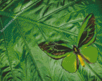 Green Black Butterfly Diamond Painting Art
