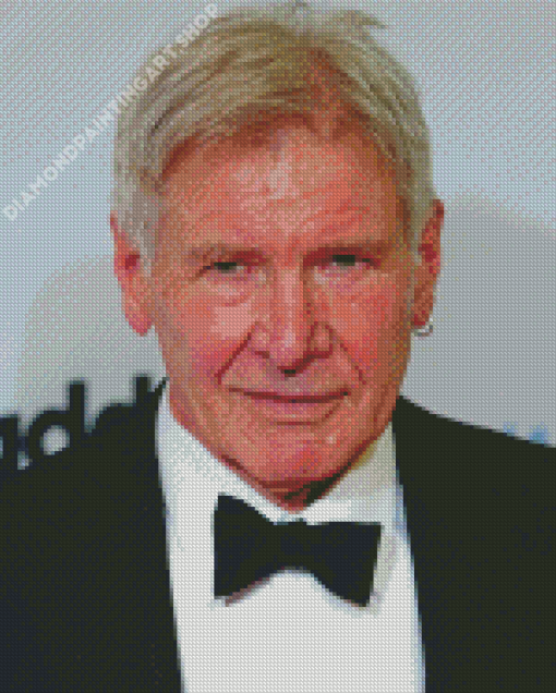 Harrison Ford Diamond Painting Art