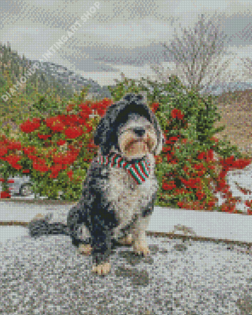 Dog Wearing Scarf Diamond Painting Art