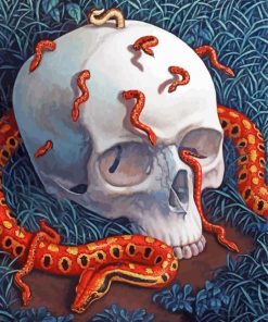 Skull And Snake Diamond Painting Art