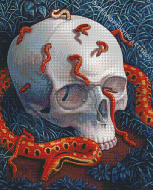 Skull And Snake Diamond Painting Art