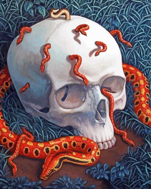 Skull And Snake Diamond Painting Art