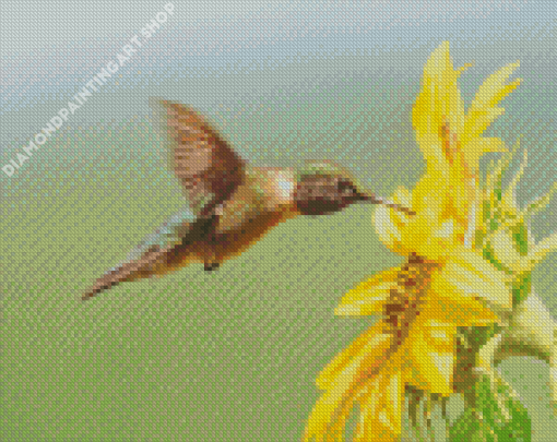 Small Hummingbird Diamond Painting Art