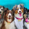 The Happy Dogs Diamond Painting Art