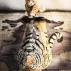 Tiger And Cat Reflection Diamond Painting Art