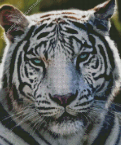 Bengal Tiger Diamond Painting Art