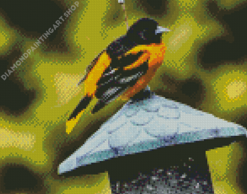 Baltimore Oriole Diamond Painting Art