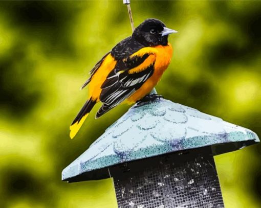 Baltimore Oriole Diamond Painting Art