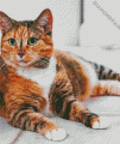 Ginger Cat Diamond Painting Art