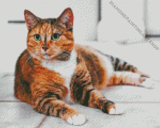 Ginger Cat Diamond Painting Art