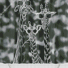 Giraffes Glasses Diamond Painting Art