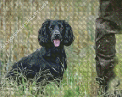 Working Spaniel Diamond Painting Art