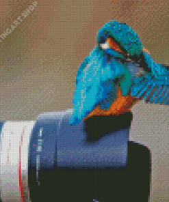 Bird And Camera Diamond Painting Art