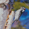 Downy Woodpecker Diamond Painting Art