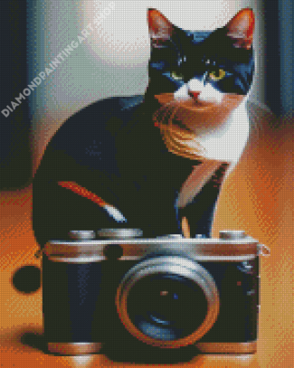 Photograph Cat Diamond Painting Art