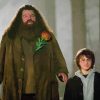 Hagrid And Harry Diamond Painting Art