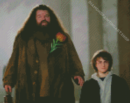 Hagrid And Harry Diamond Painting Art