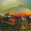 Brook Trout Fish Diamond Painting Art