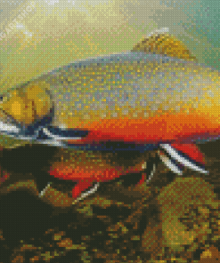 Brook Trout Fish Diamond Painting Art