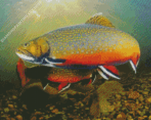 Brook Trout Fish Diamond Painting Art