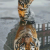 Cat Reflection Diamond Painting Art