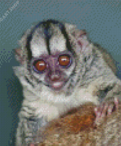 Monkey Animal Diamond Painting Art