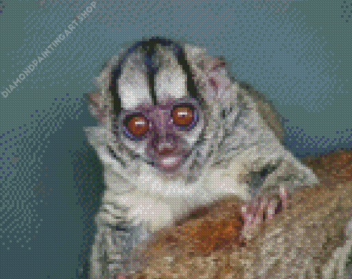 Monkey Animal Diamond Painting Art