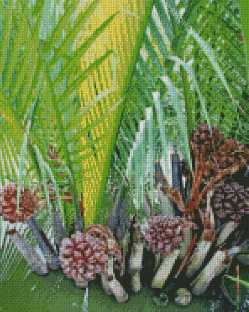 Nipa Plant Diamond Painting Art